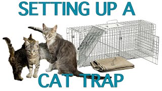 Updated! How to Set a Cat Trap by Stand For Animals 4,804 views 5 years ago 4 minutes, 7 seconds