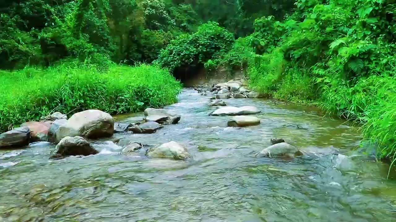 Silent Forest River Sound ASMR for Deep Calm and Relaxation