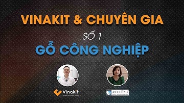 Tất Tần Tật Về Gỗ Công Nghiệp | Chuyên Gia Gỗ An Cường | VINAKIT & CHUYÊN GIA #01