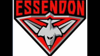 Team Song AFL Pencil Case Large School Essendon Bombers Work