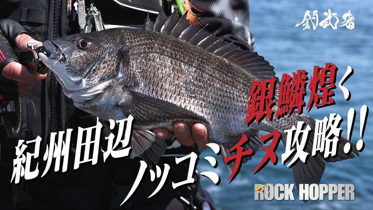 釣武者