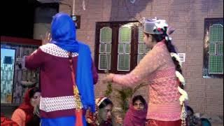 सुपर हिट पहाड़ी गिद्दा ll phadi culture ll हिमाचली पहाड़ी गिद्दा ll No1 पहाड़ी गिद्दा ll 🙏🙏