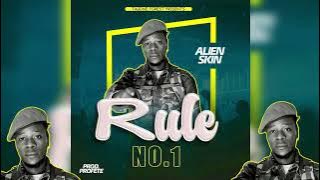Rule Number One - Alien skin ( official Audio Music)