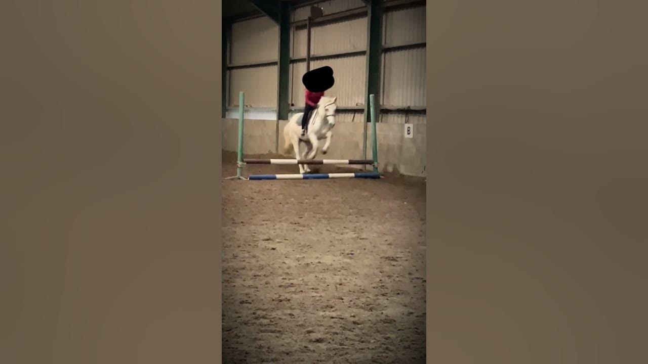 I watched the fnaf movie yesterday w ETG butter! #equestrian #