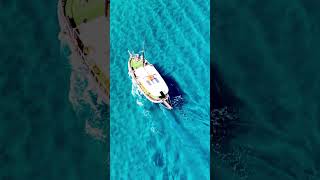 Tiny Boat on Crystal Clear Water 🌊 | Rhodes, Greece 🇬🇷 #drone #cinematicadventures