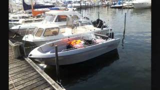 Download Lagu Pioner Viking 50hk MP3