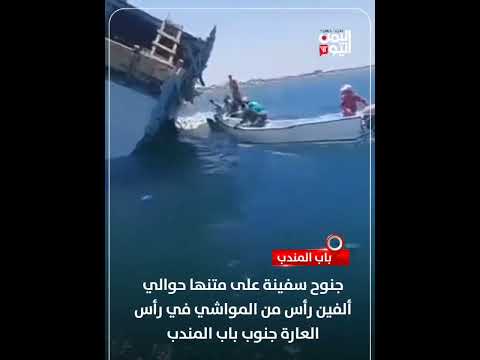 جنوح سفينة على متنها حوالي ألفي رأس من المواشي في رأس العارة جنوب باب المندب