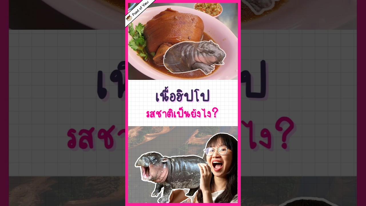 ใครดู #หมูเด้ง แล้วอยากชิมบ้าง? อยากรู้ไหมรสชาติเนื้อฮิปโปเป็นยังไง? #วิวเอ๋ยบอกข้าเถิด #Pointofview