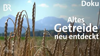 Aus alt mach neu? Vergessene Getreidesorten | Schwaben & Altbayern | BR Fernsehen