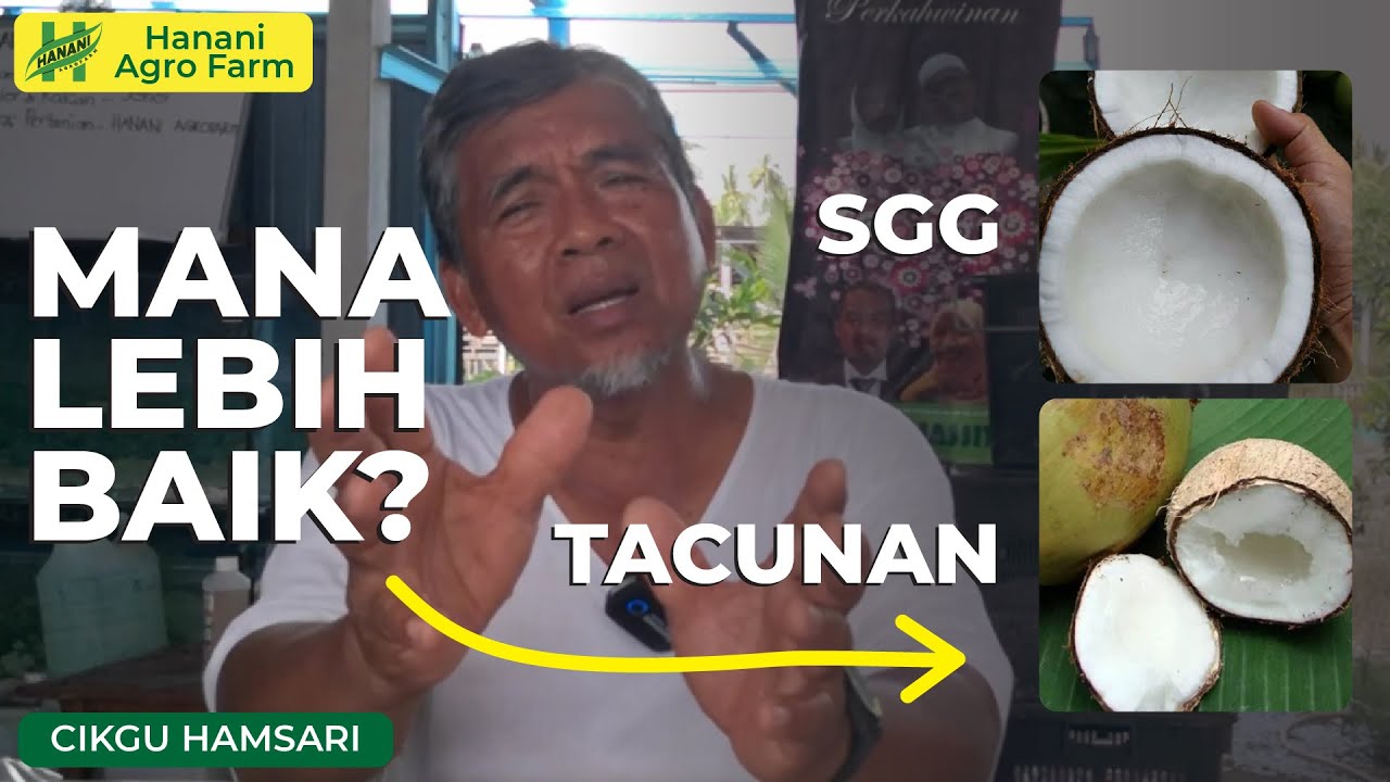 Mana satu jadi pilihan? | Hanani Agro Farm