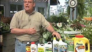 Pre-emergence herbicides can prevent weeds