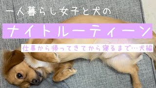 ナイトルーティーン 一人暮らし女子と犬 仕事帰りから寝るまで 犬中心編 Youtube