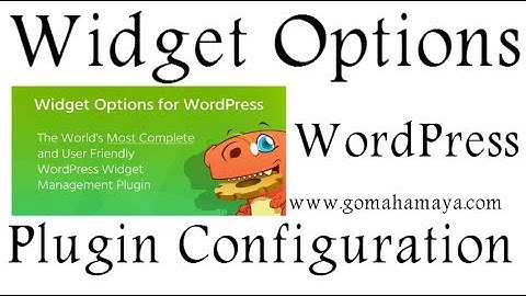 Widget Options WordPress Plugin Setting 2018