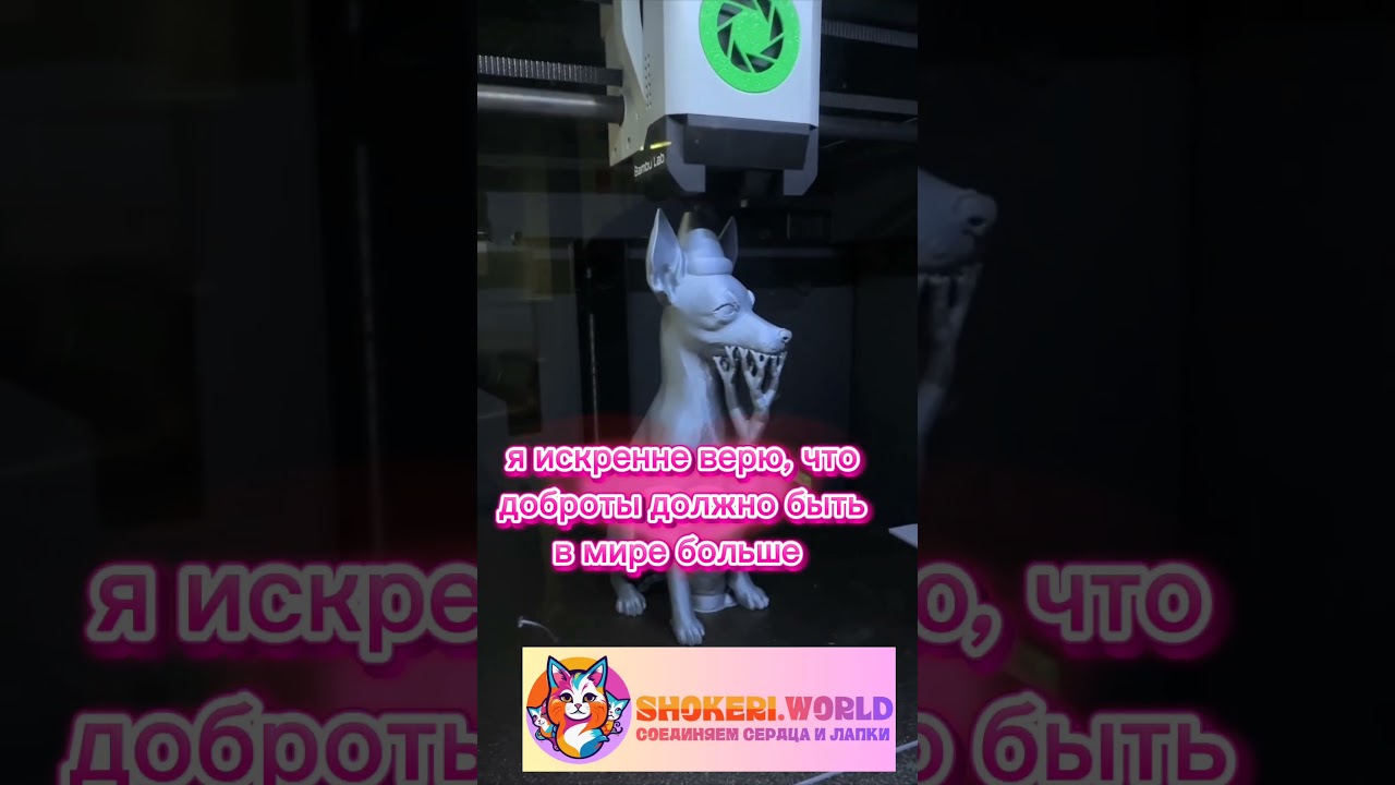 Закулисье мира shokeri world. Карточка фигурок будут чуть позже, мне сейчас чинят сайт shokeri.com