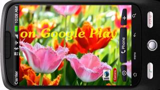 Fascinating Flowering Tulips HD Live Wallpaper for Android OS screenshot 1