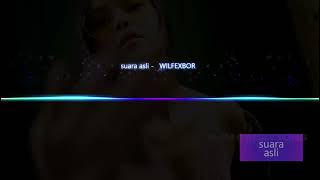 suara asli     WILFEXBOR   #newviralsong #viralsong |MJM CREATIONS| #trending #trendingsong