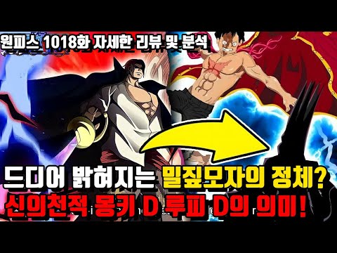 태양신 니카와 <strong>조이보이</strong> 그리고 몽키 D 루피