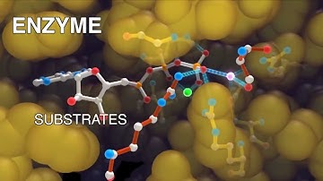 Introduction to Enzymes #CH17SP #swayamprabha