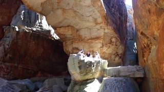 Click to watch video