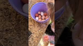 You Don’t Need Acres to Start Homesteading 🐔🥚