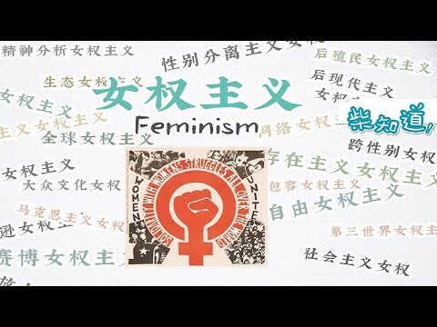 女权主义到底是什么？What is Feminism？【柴知道ChaiKnows】【科普Science】【冷知识Trivia】
