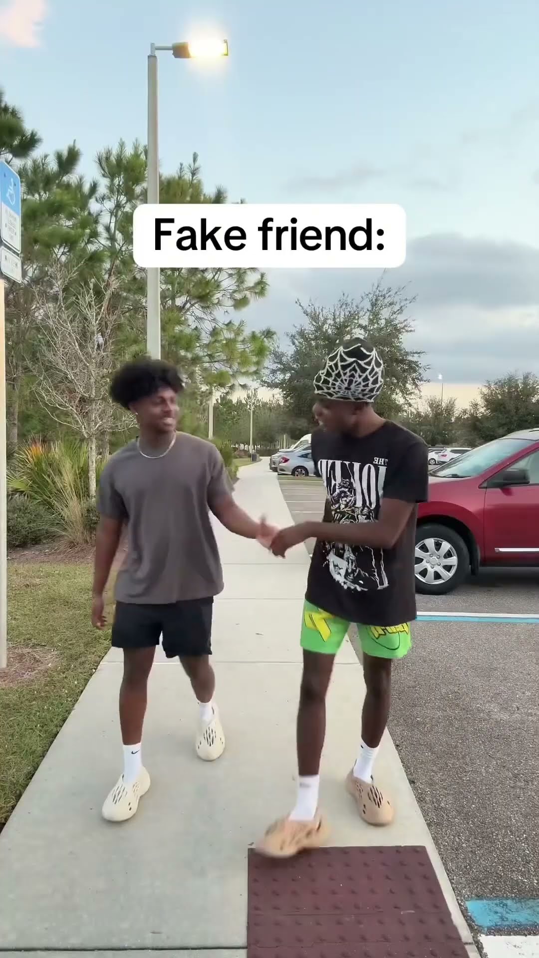 Fake Friend Vs True Friend ?