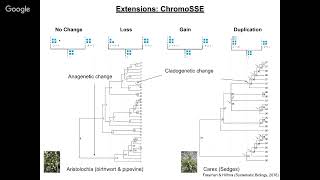 Phyloseminar #86: Sebastian Höhna (LMU Munich)