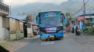Bus Viral Basuri Pianika Kopi Dangdut Aleena