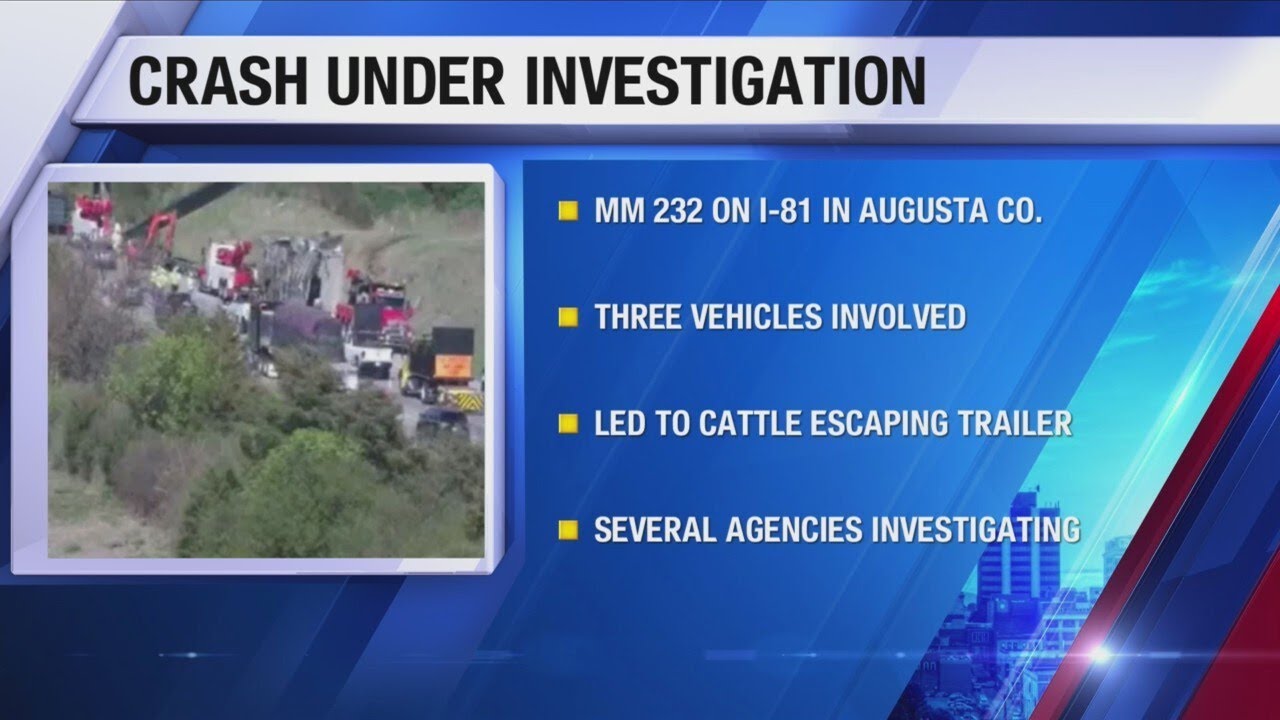3-vehicle crash leading to escaped cattle on I-81N cleared - YouTube