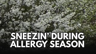 Spring is in the air and so is pollen