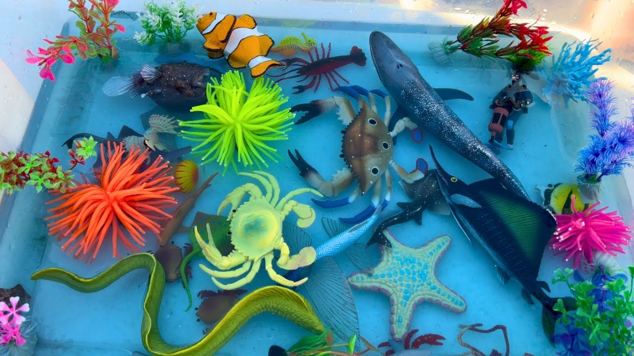 Ocean Animal Toys Collection | Creating a ocean with sharks, starfish, whales , fish