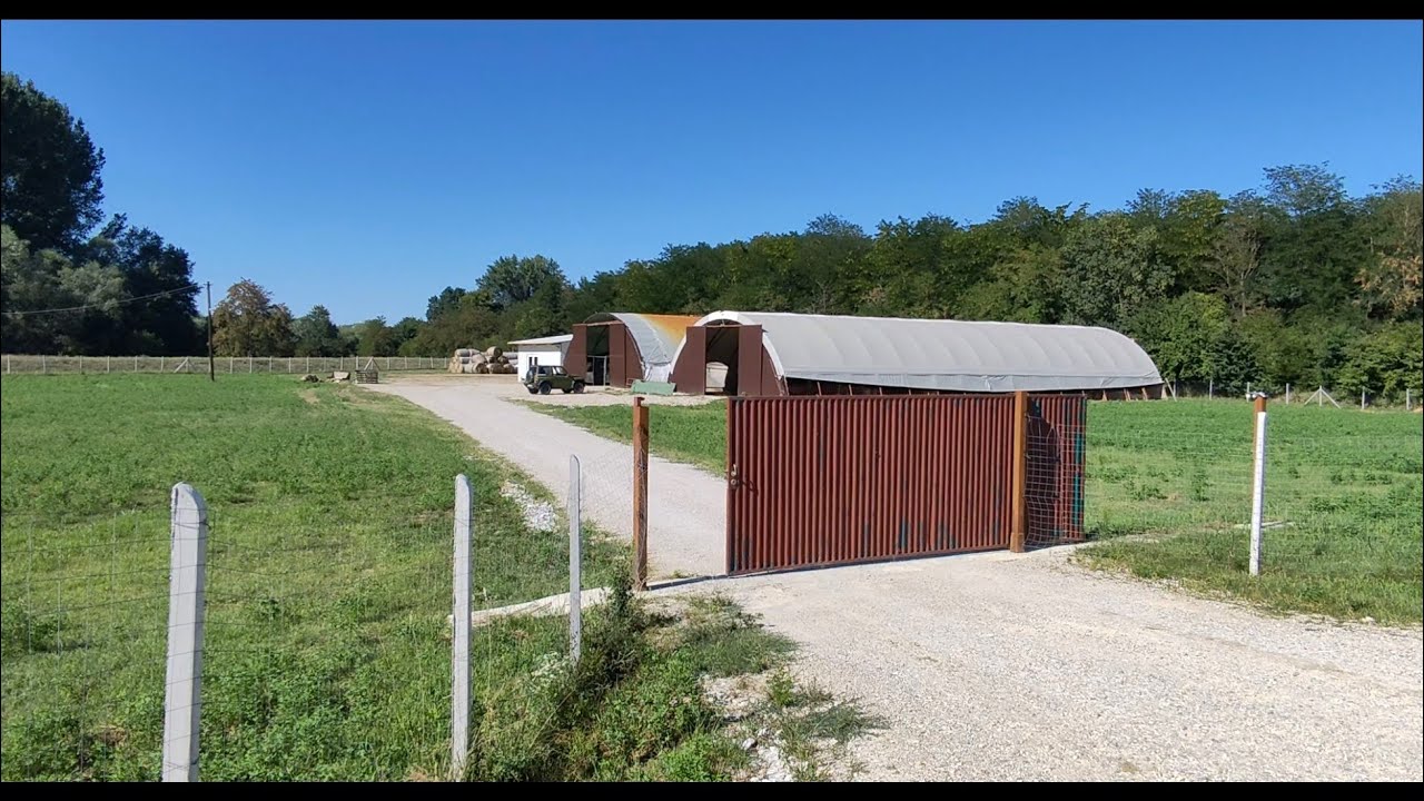 O fermă de oi Lacaune cum nu ați mai văzut. VIZIONARE PLĂCUTĂ.