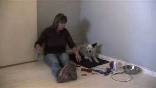 Tether or Tie Up Station for Dogs