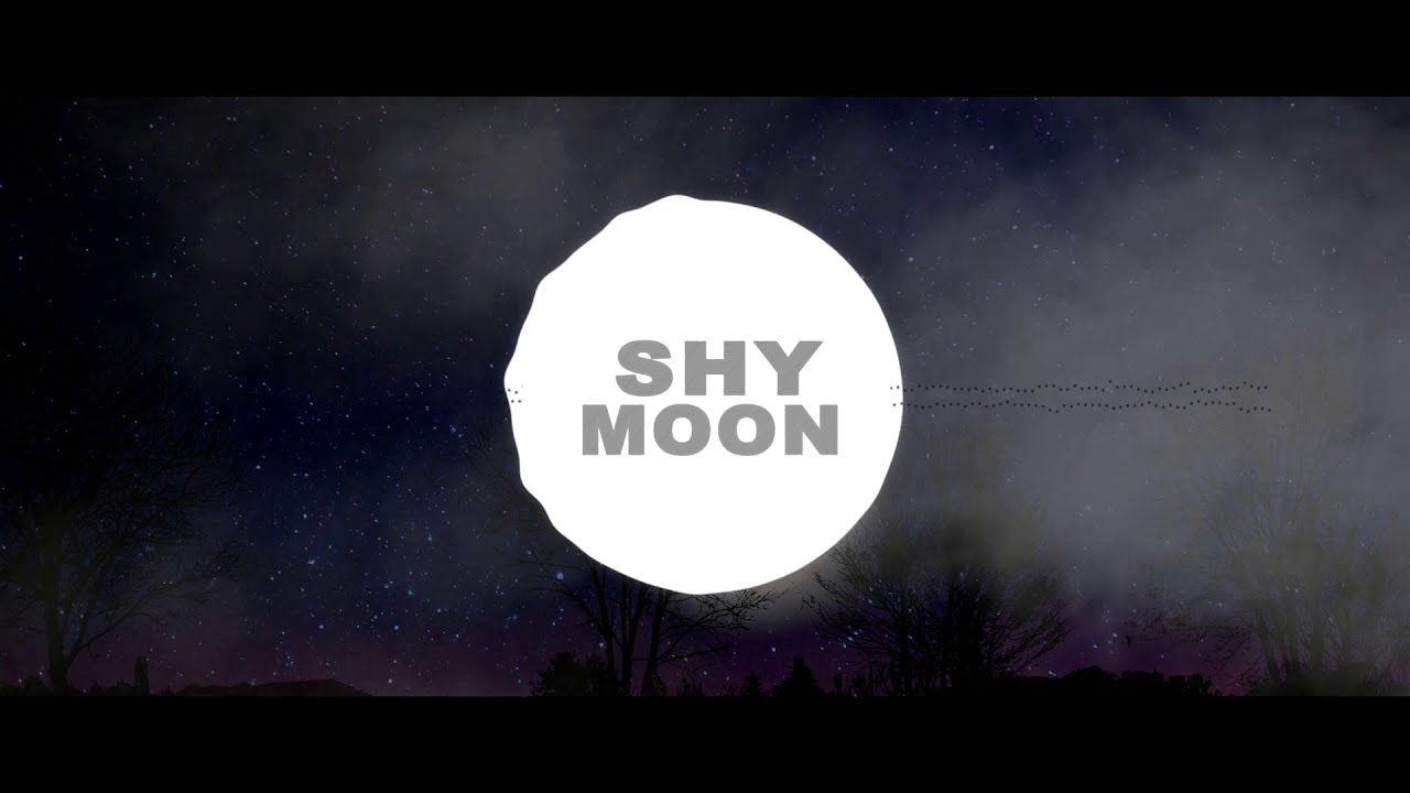 Caetano Veloso Shy Moon VEL 1984 YouTube