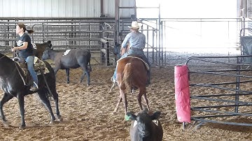 Headliners Dual Star - sorting practice - holding the gate - Valley View Ranch