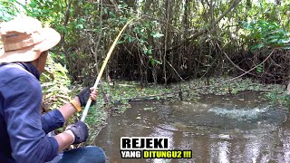 Mancing hari ini sangat beruntung dapat spot banyak ikan #SG-365