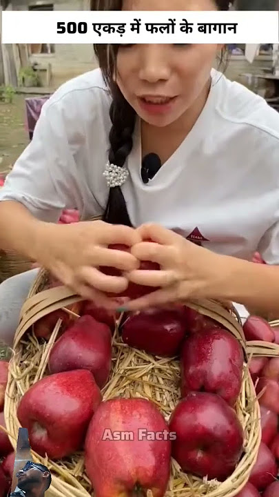 #shortsvideo #shorts #short #shortvideo #short #trending #viral #ngntd #memes