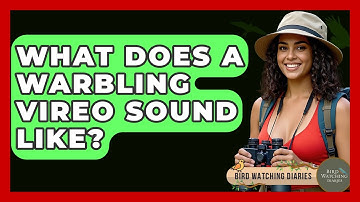 What Does A Warbling Vireo Sound Like? - Bird Watching Diaries