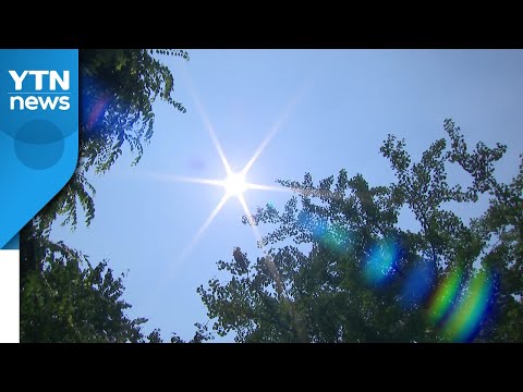 [날씨] 휴일, 흐리고 한낮 다소 더워...자외선·오존 주의 / YTN