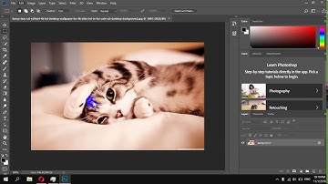 How To Disable Snap Vector Tools and Transforms Grid To Pixels in Photoshop CC