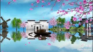 #nhachoa 《Si Tình Mộ》- Nhạc không lời thư giản