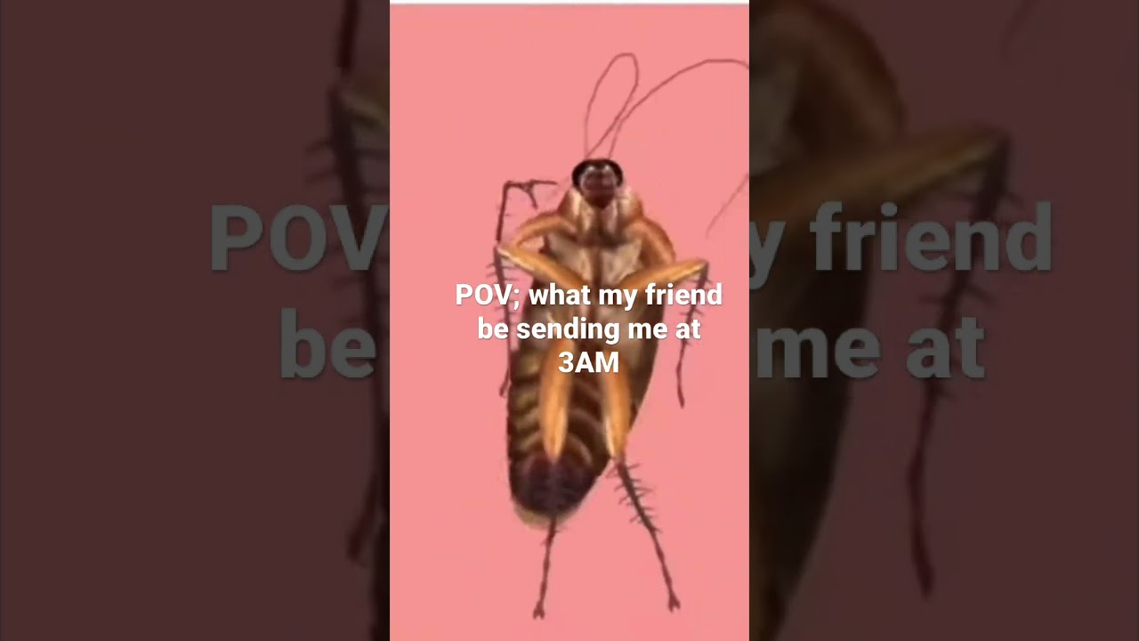 Like bro just let me sleep in peace🙏😭