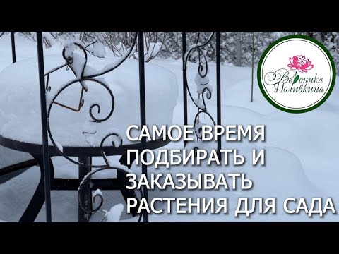 Хочу вырастить самый вкусный  виноград под Москвой какие сорта выбрать