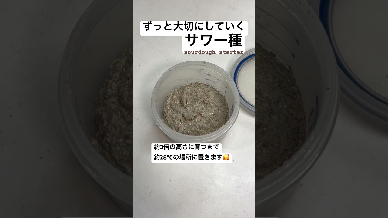 【大切に継ぎ続けるサワー種☺️】 #サワードウ #サワー種 #サワードゥーブレッド #ドイツパン #sourdoughstarter #sourdough #菊池英昭 #brainchilds