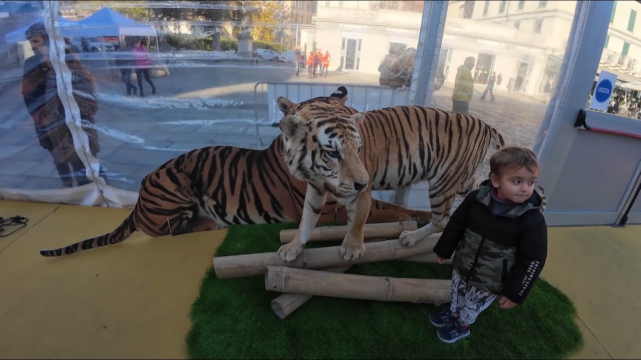 Италия🇮🇹Сондрио удивляет!👍