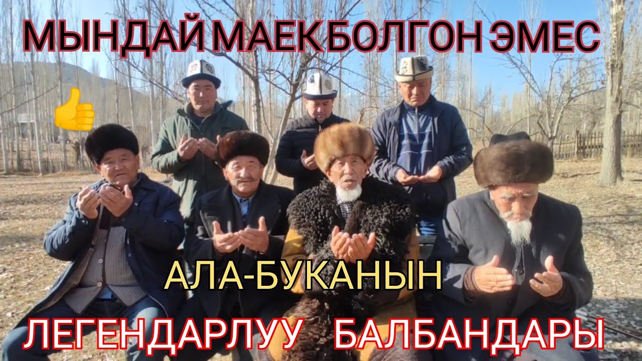 АЛА-БУКАНЫН ЛЕГЕНДАРЛУУ БАЛБАНДАРЫ МАШАН балбан