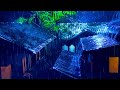 Relaxing Rainstorm at Night 💤 Tin Roof Rain + Frog and Cricket Ambience for Sleep