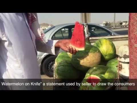 تقرير الحبحب نسخة مترجمة للانجليزية