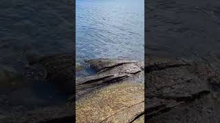 Roqueríos en Isla Laitec, Quellón. #chiloé #isladechiloé #septiembre2025 #islalaitec #quellón