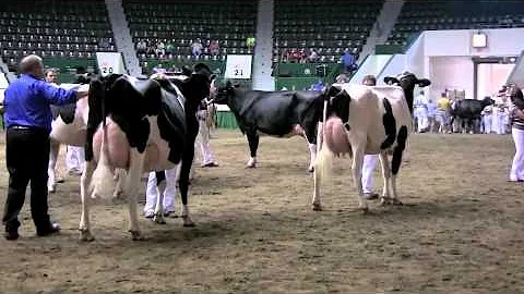 2012 Midwest Fall National - Intermediate Champions